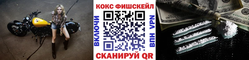 Купить закладки  Невельск  Cocaine 97% 