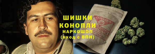 ПСИЛОЦИБИНОВЫЕ ГРИБЫ Баксан