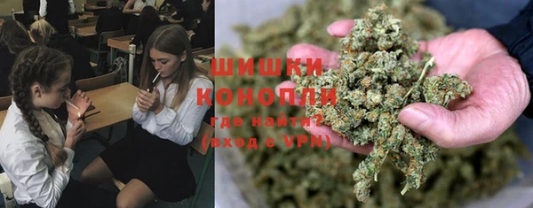 ПСИЛОЦИБИНОВЫЕ ГРИБЫ Баксан