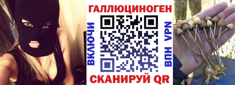 Галлюциногенные грибы прущие грибы  Купить  Невельск 